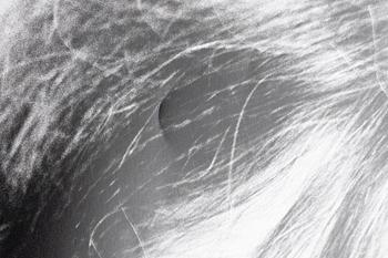 Ewa Rudling, "Patti Smith".