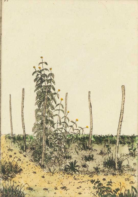 Sten Eklund, "Silphium connalum" From "Kullahusets hemlighet".
