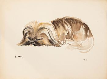 Margit Jones, akvareller, 4 st, "Loppan".