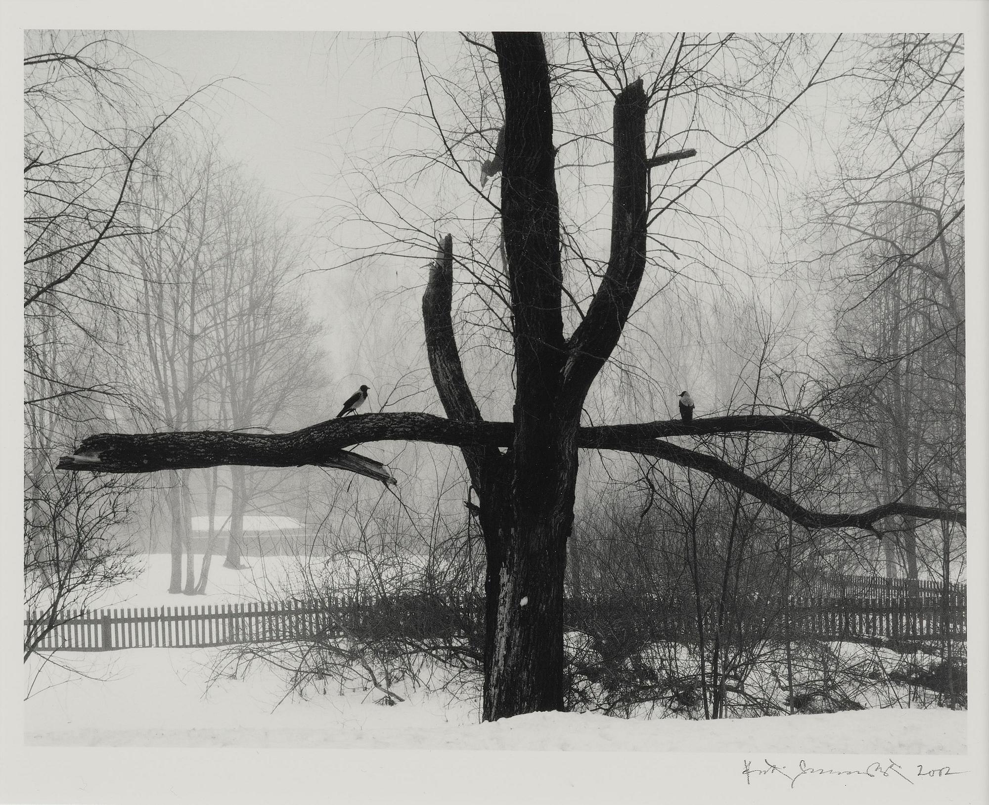 Pentti Sammallahti, Utan titel, 2002.