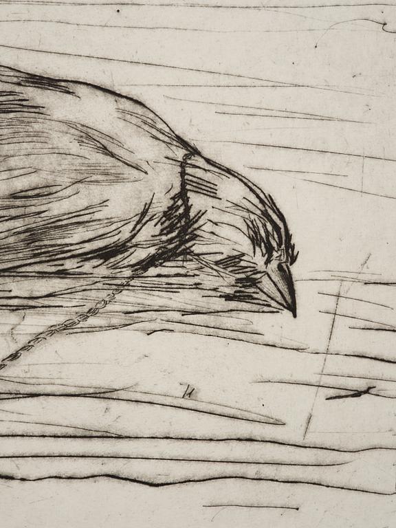 Hans Wigert, Dead Bird.