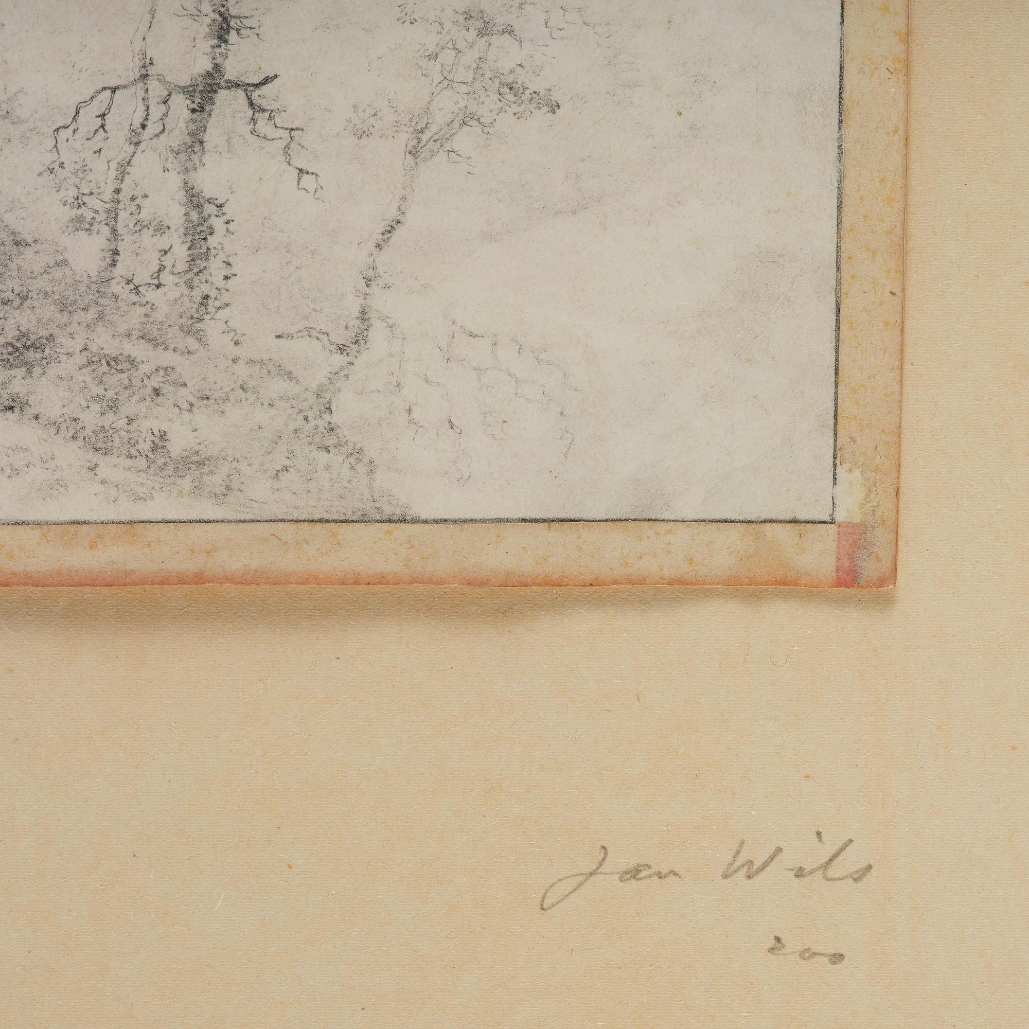 Jan Wils, Landscape with forest.