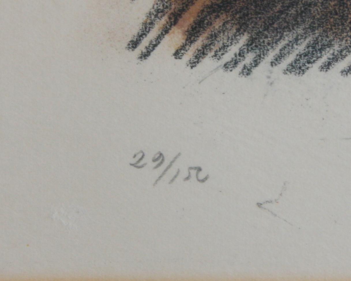 ZUHR, HUGO, färglitografier, 2 st, sign o numr 29/150 resp. 220/260. Prov; Olof Sager.