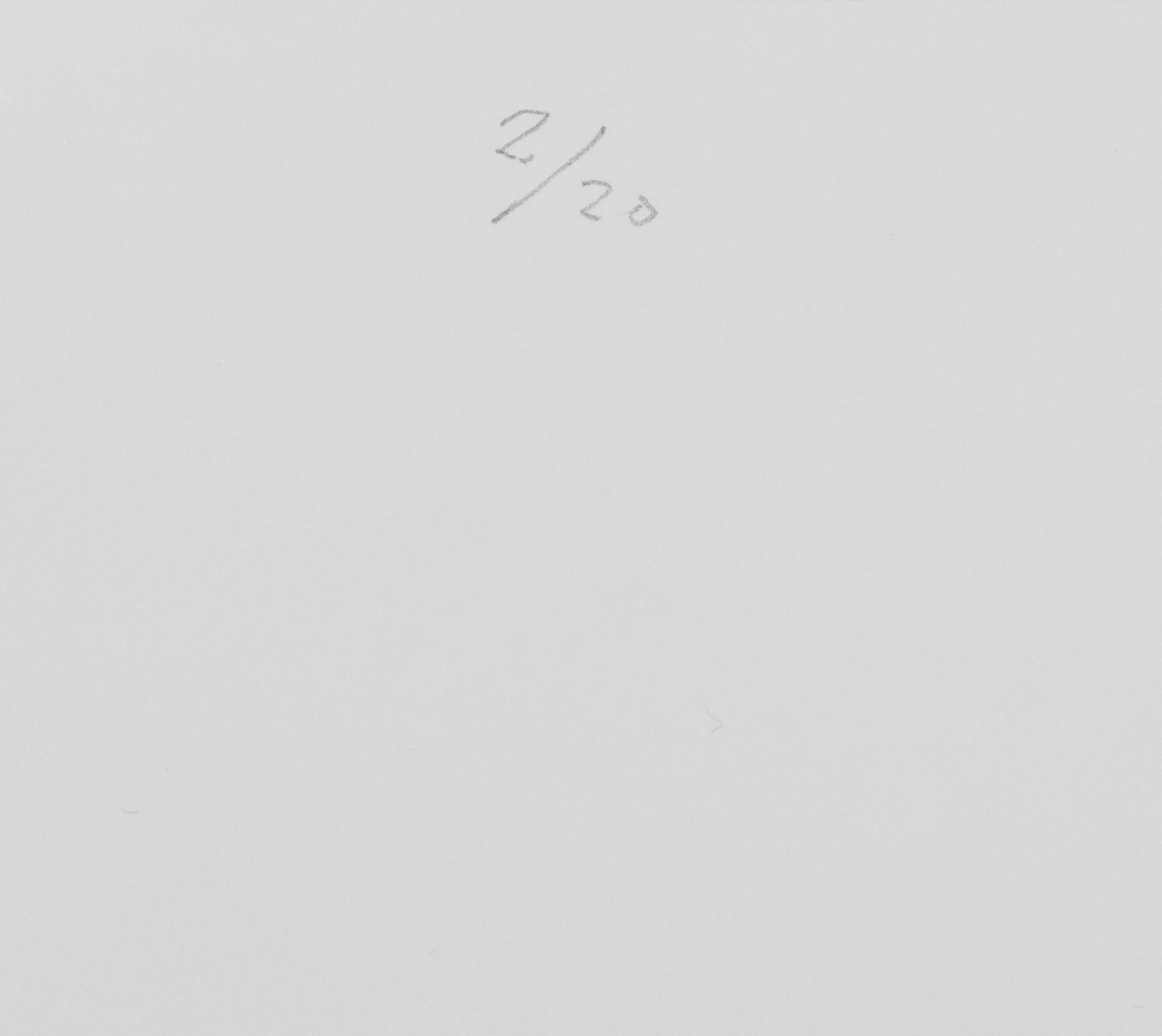 Carl Johan De Geer, "Oskyldigt dömd".