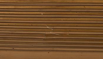 Ingrid Ehrenborg, Model study.