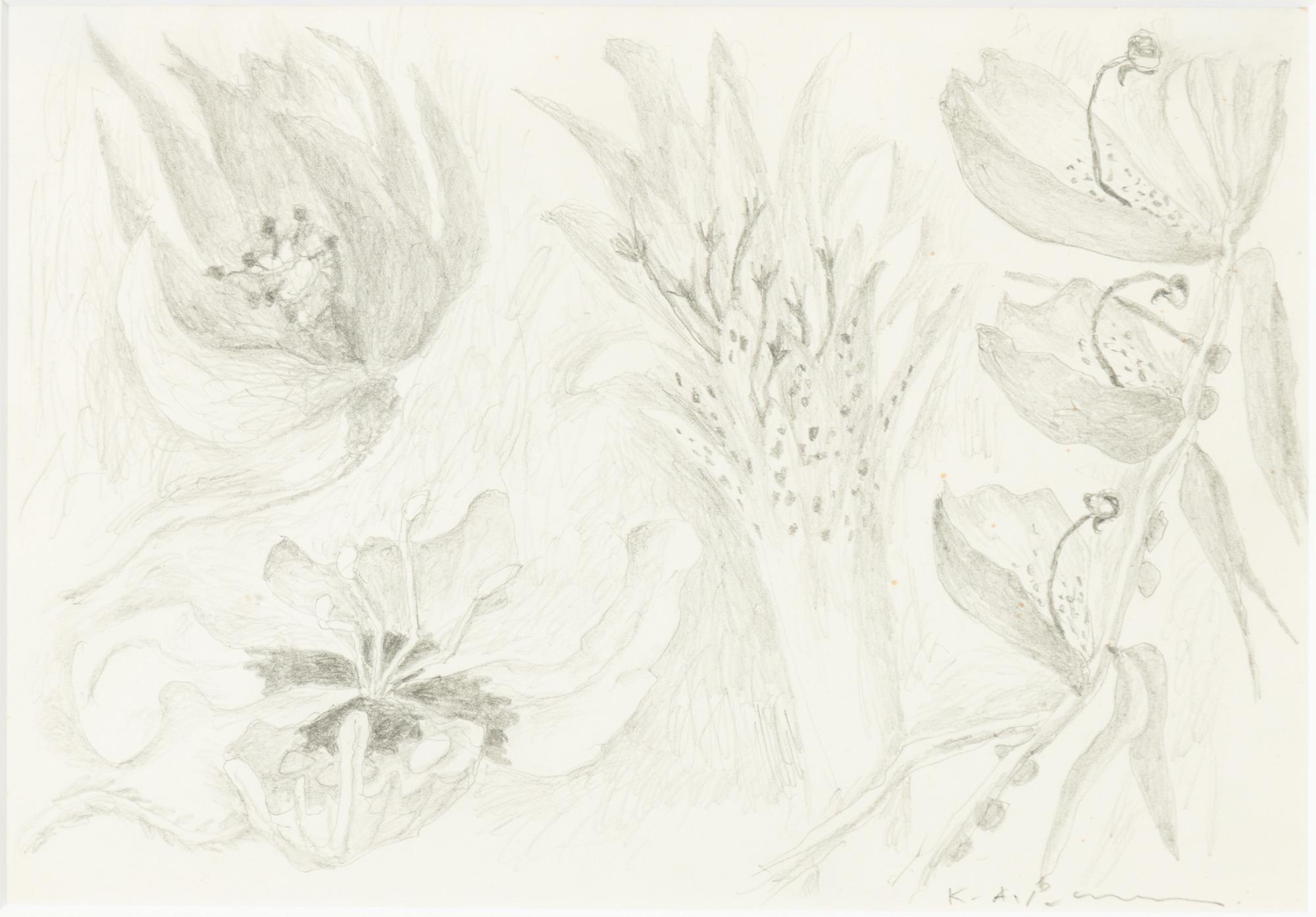 Karl Axel Pehrson, Blommor och bladverk.