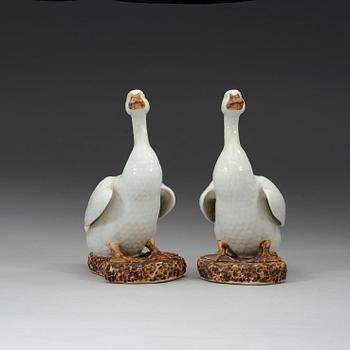 A pair white glazed ducks, early 20th century.