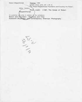 ROBERT MAPPLETHORPE, pressfotografi, silver gelatin på s.k. RC-papper, 1987.