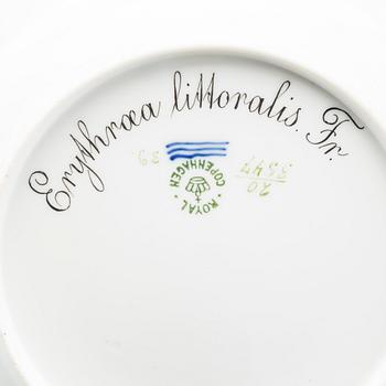 A "FLORA DANICA" PLATE, porcelain, model no 20/3547, Royal Copenhagen (1898-1923).