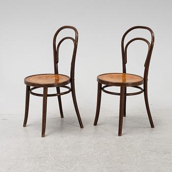 Six Thonet type chairs, Rumania, 20th Century.