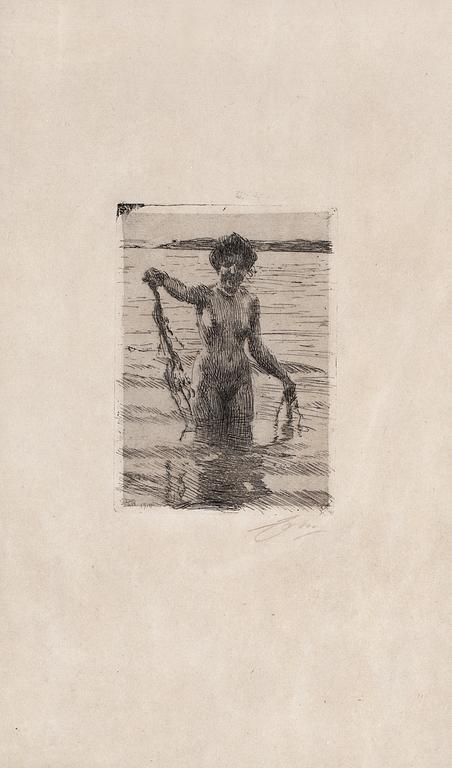 Anders Zorn, "Tång".