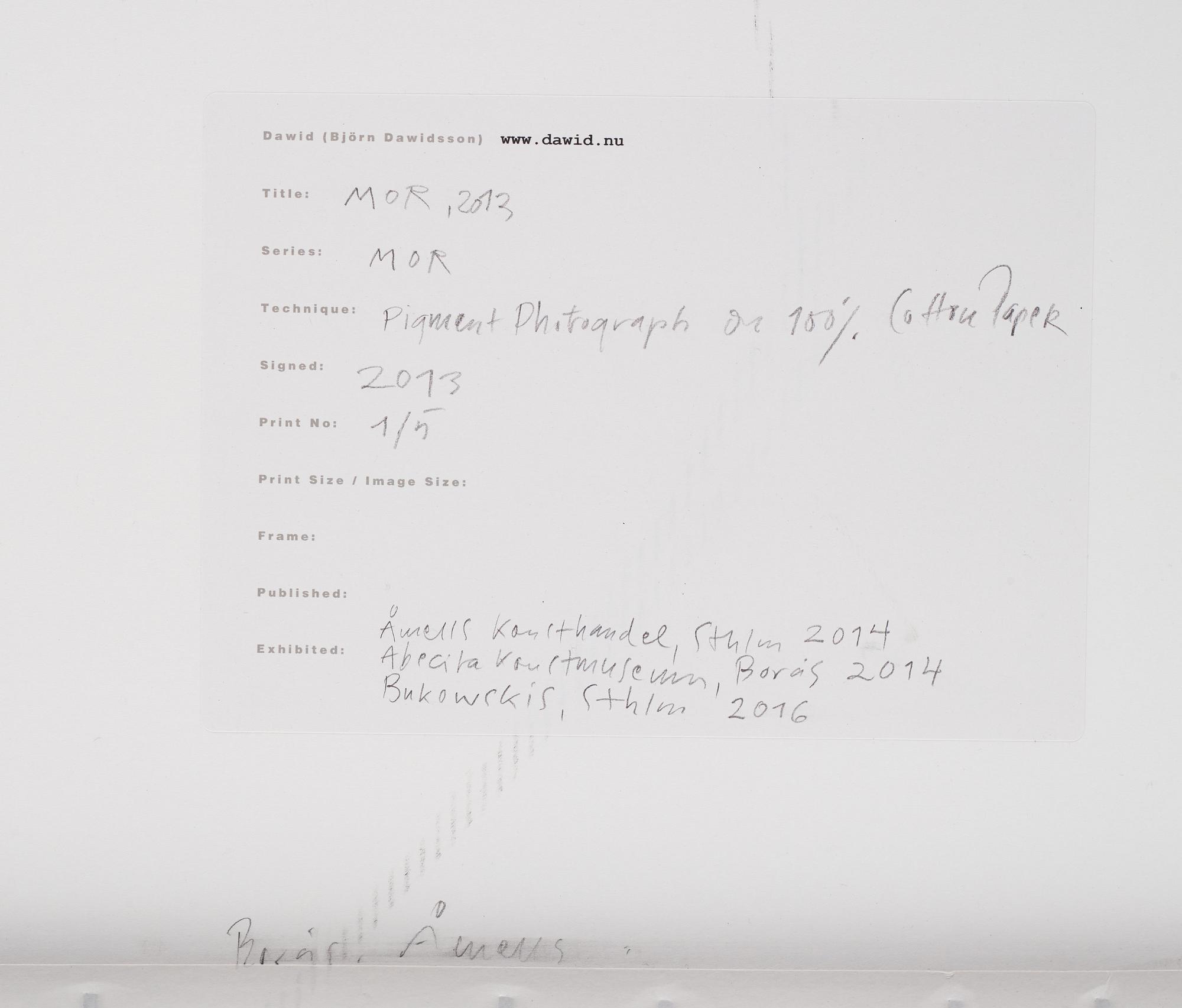 Dawid (Björn Dawidsson), "MOR No. 1", 2013.