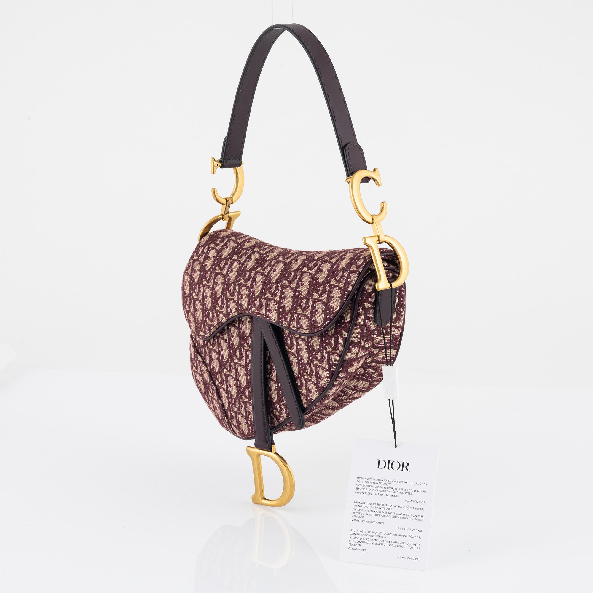Christian Dior bag Saddle Bag