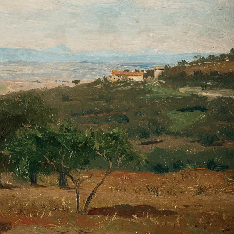 Olof Arborelius, View from Capidimonte di Sorrento.