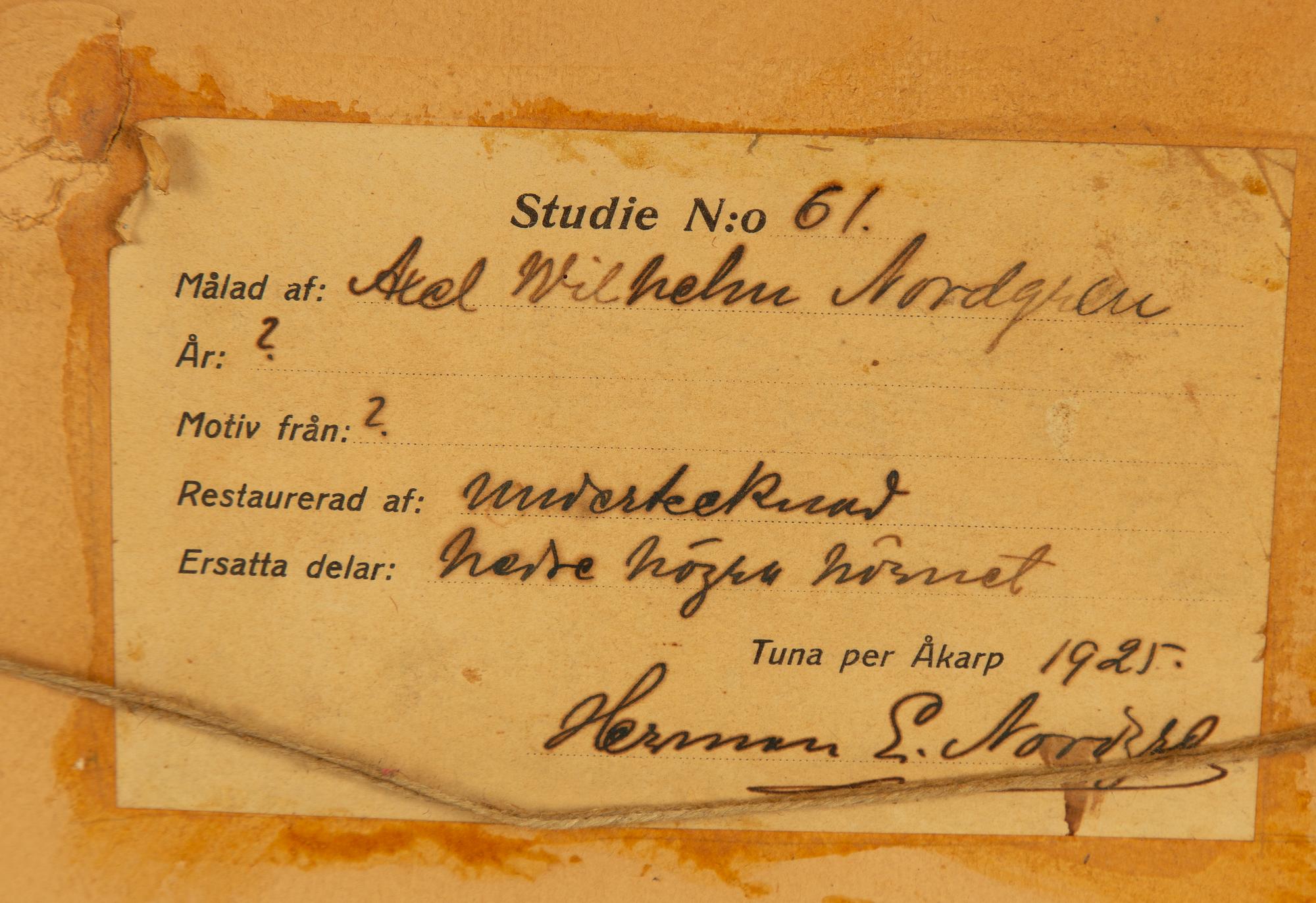 Axel Nordgren, Rapids with Timber.