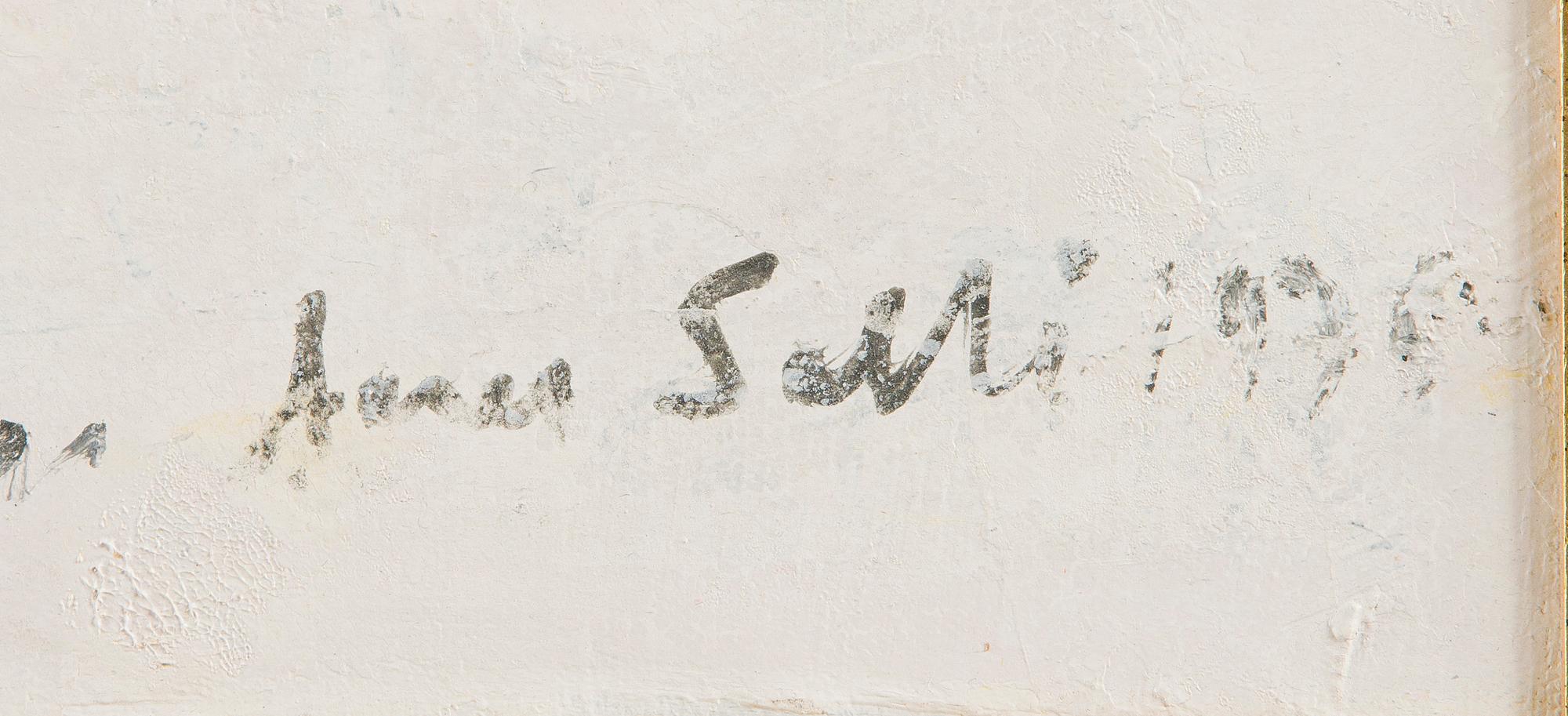 Aares Salli, Vinterlandskap.