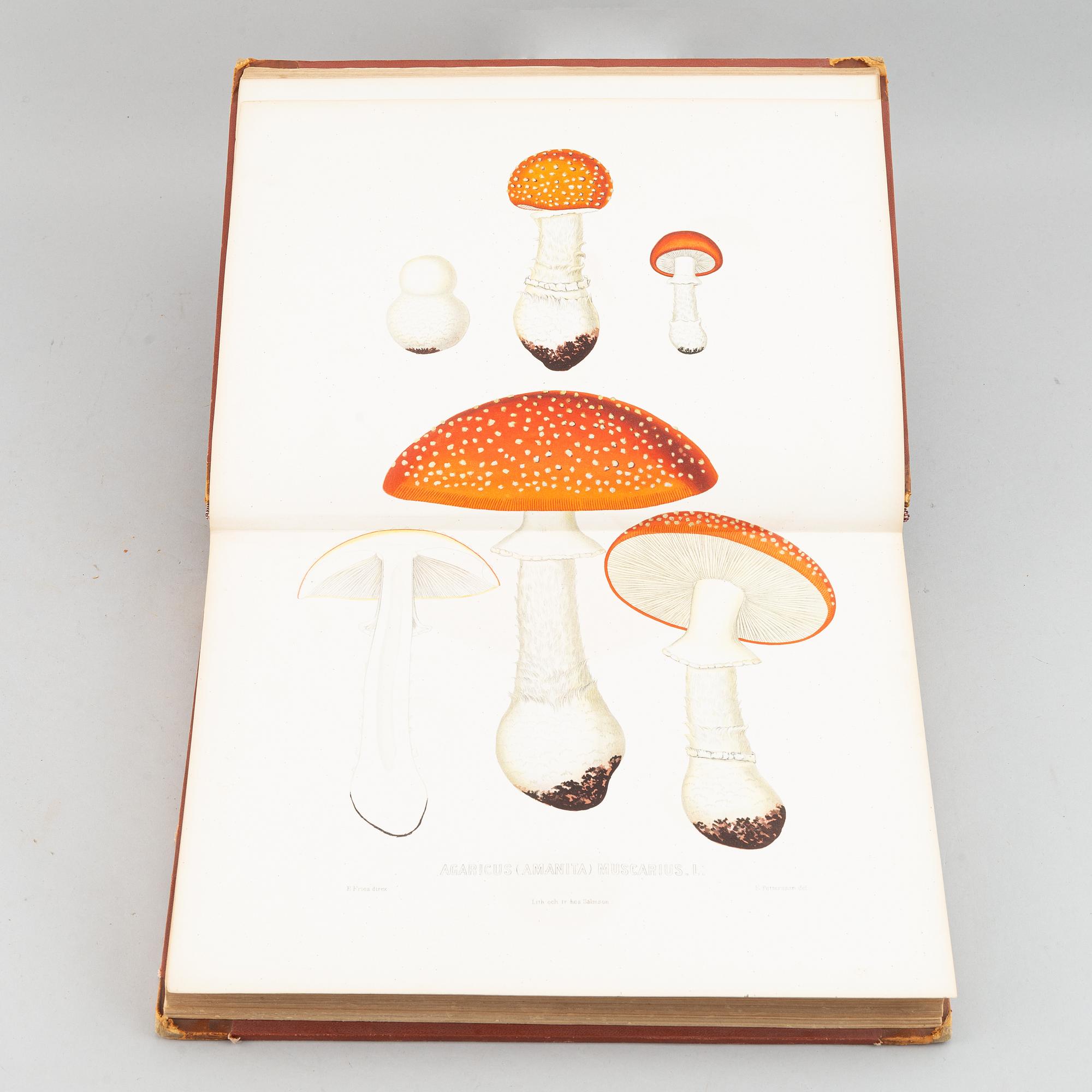 With 94 chromolithographs of mushrooms.