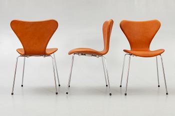 Arne Jacobsen,, chairs, 6 pcs, "Sjuan", Fritz Hansen, Denmark later part of the 20th century.