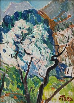 Tord Leander-Engström, Mountain landscape.