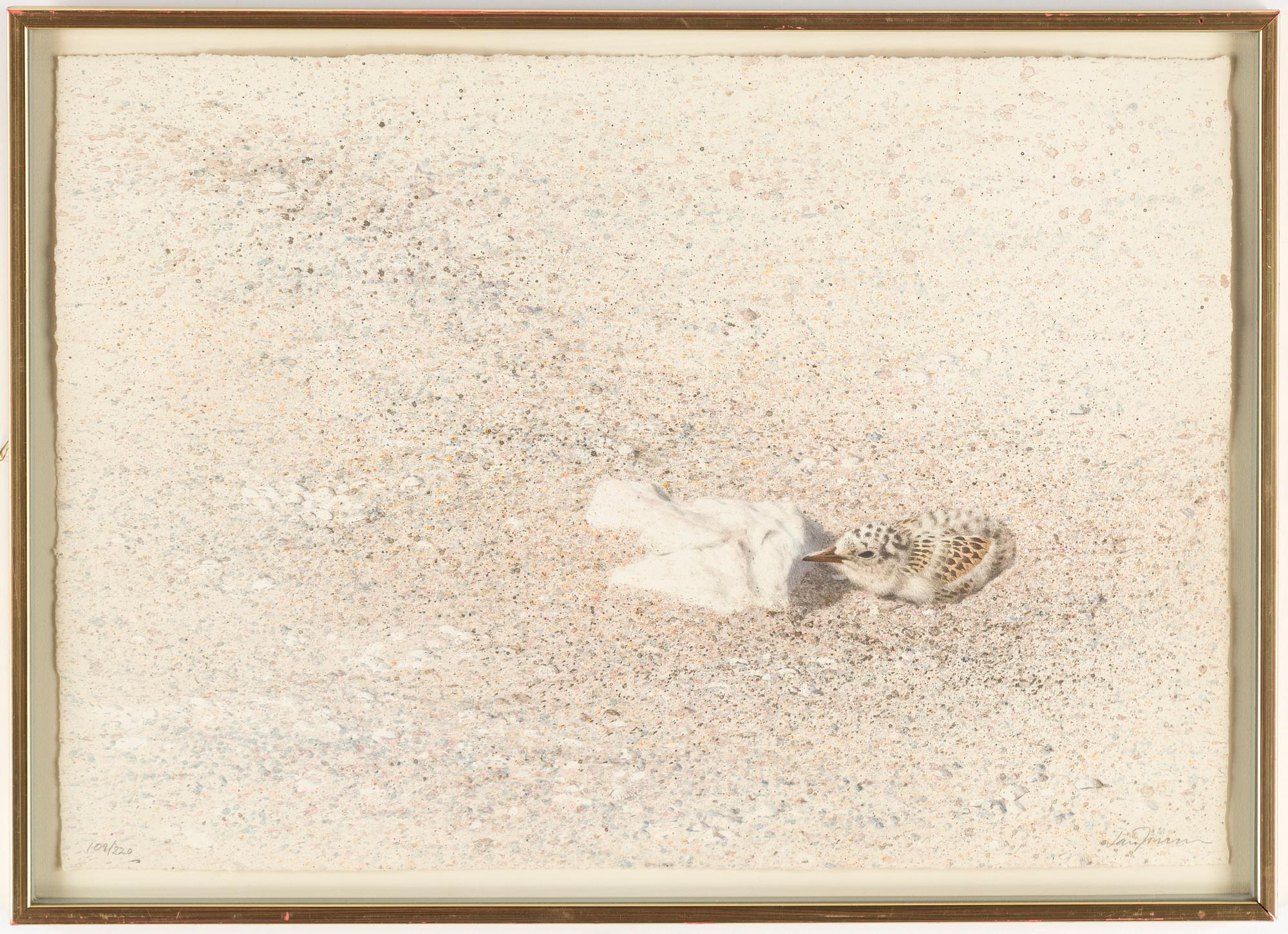 Lars Jonsson, lithograph in colours, signed 109/250.