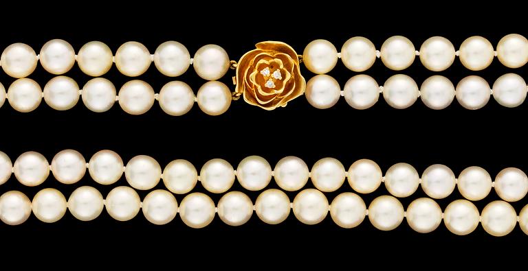 A two strand cultured pearl necklace.