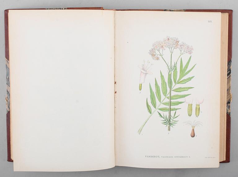 BÖCKER, "Bilder ur Nordens Flora", C.A.M Lindman, Wahlström & Widstrand, Stockholm 1905, 3 volymer.