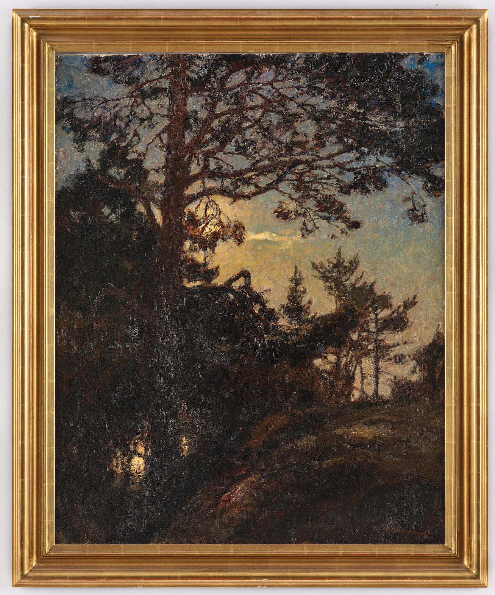 Gottfrid Kallstenius, Tallar i skymning.