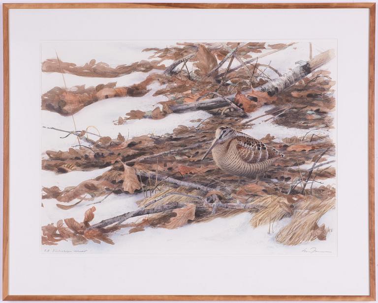 Lars Jonsson, "Vinterskogen vaknar".