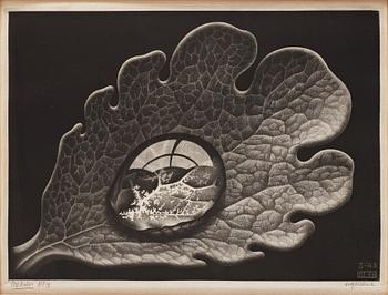 343. Maurits Cornelis Escher, ”Drop (Dewdrop)”.