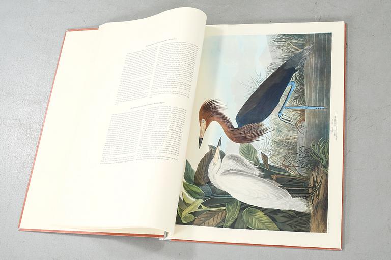 The book "The Birds of America", volume II, by John James Audubon, numbered 178/500, 1973.