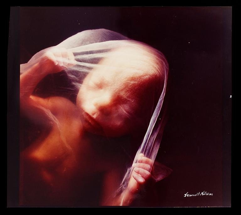 Lennart Nilsson, Foster.