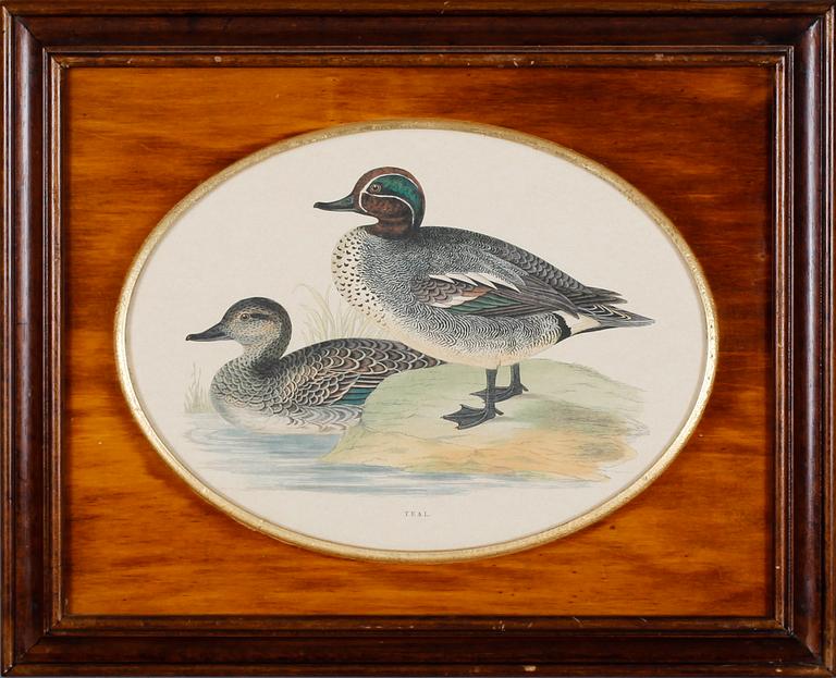 TAVLOR, 1 par, grafiska blad, 1900-tal.