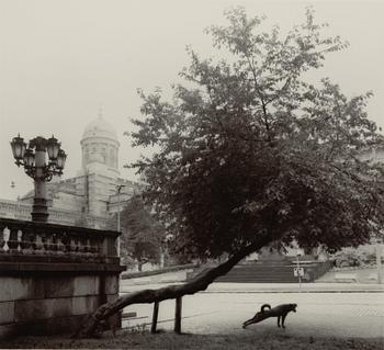 Pentti Sammallahti, Utan titel, 1982.