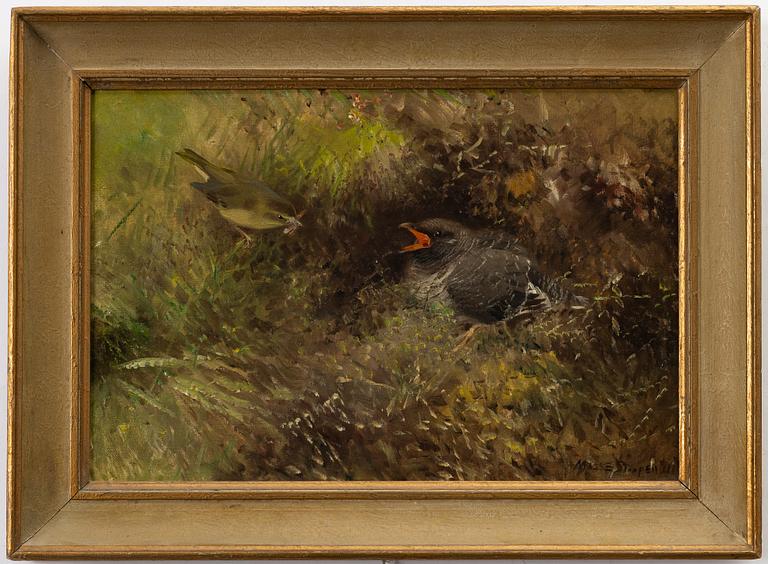 Mosse Stoopendaal, Passerines in shrubbery.