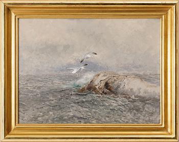 Mosse Stoopendaal, Gulls by the skerry.