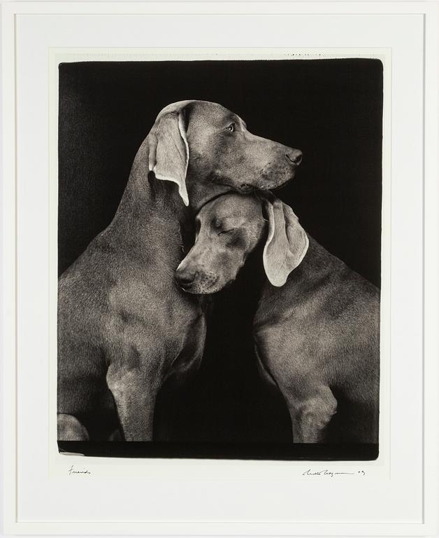 William Wegman, archival pigment print 2009, signed. Numbered 262/1500 verso.