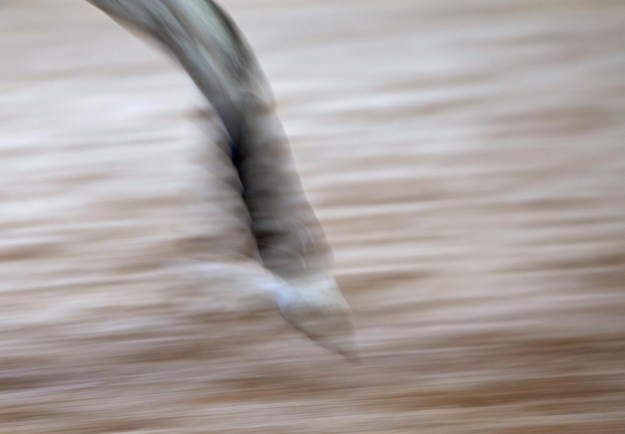 SUSANNE MARTINELLE, "Frihet".