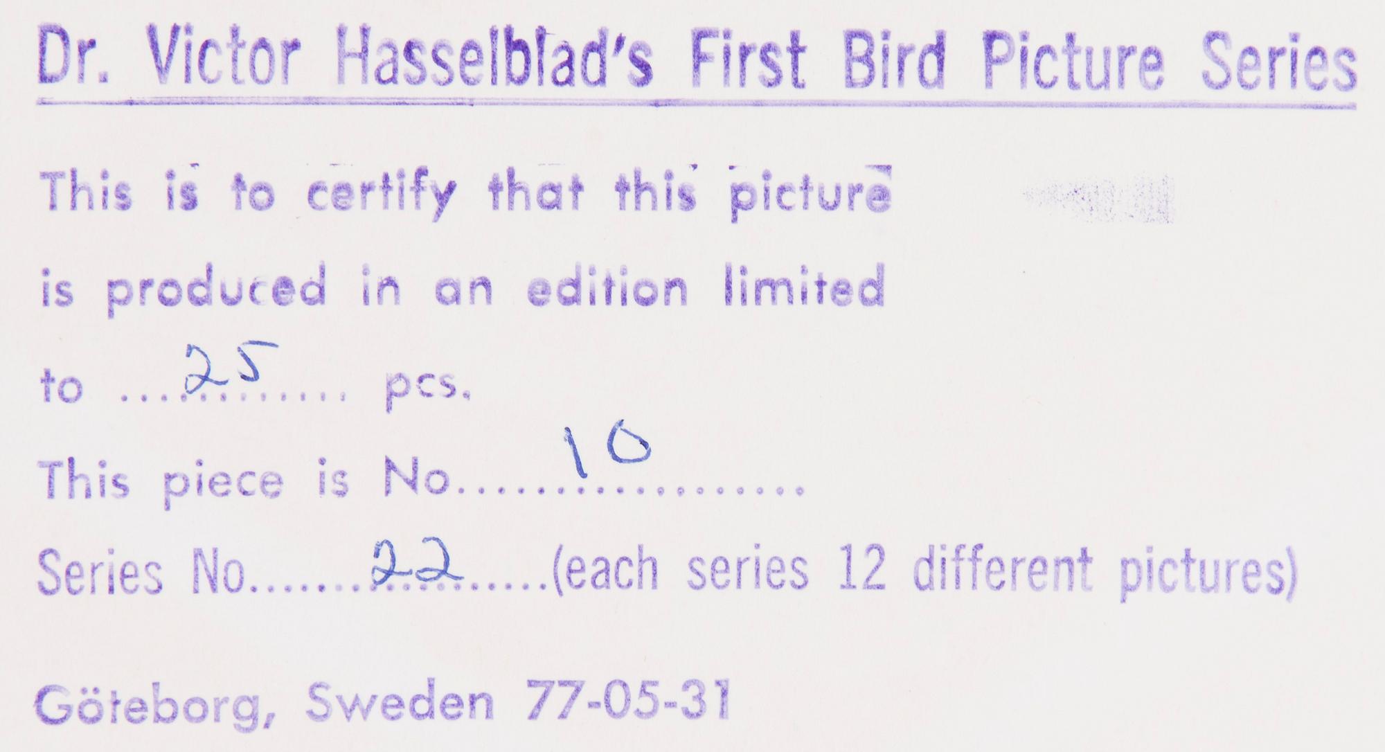VICTOR HASSELBLAD, fotografier, 12 st, signerade, daterade och numrerade, ur serien nr 22.