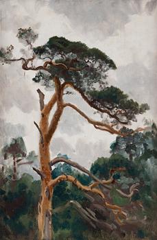 Bruno Liljefors, Pine.