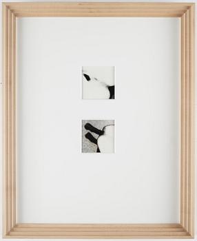 Martina Leo, photograph diptych.