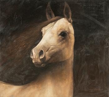 Johan Lindberg, Horse.
