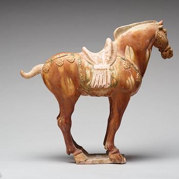 A pottery figure of a horse, Tang dynasty (618-907).