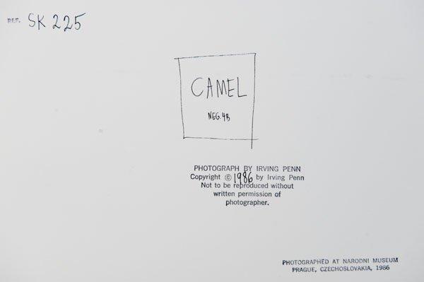 Irving Penn, "Camel", Prague, 1986.