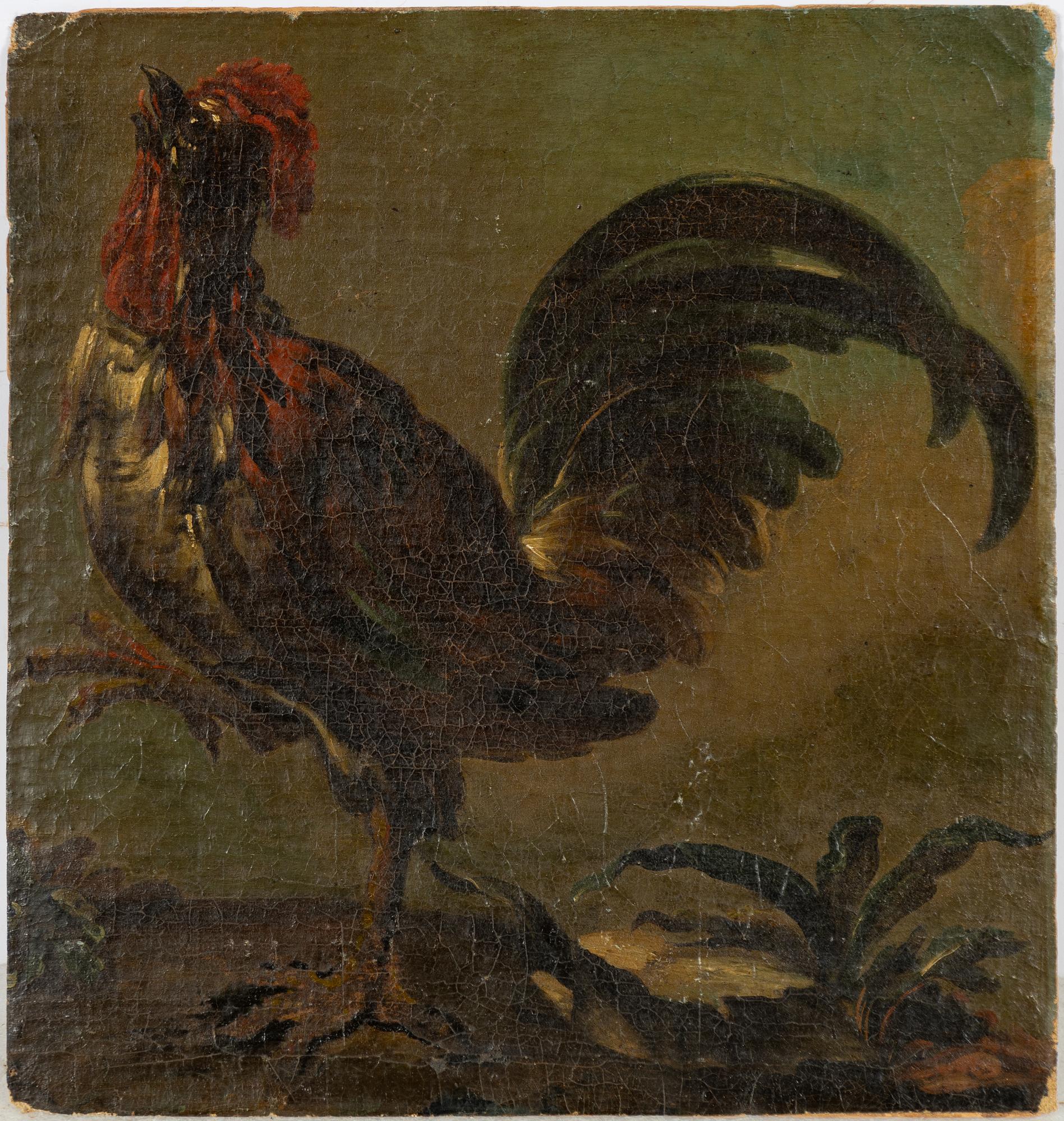 Okänd konstnär, 1700-tal, Tupp.