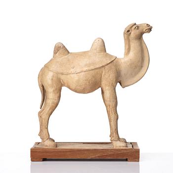 KAMEL, lergods. Tangdynastin (618-906).