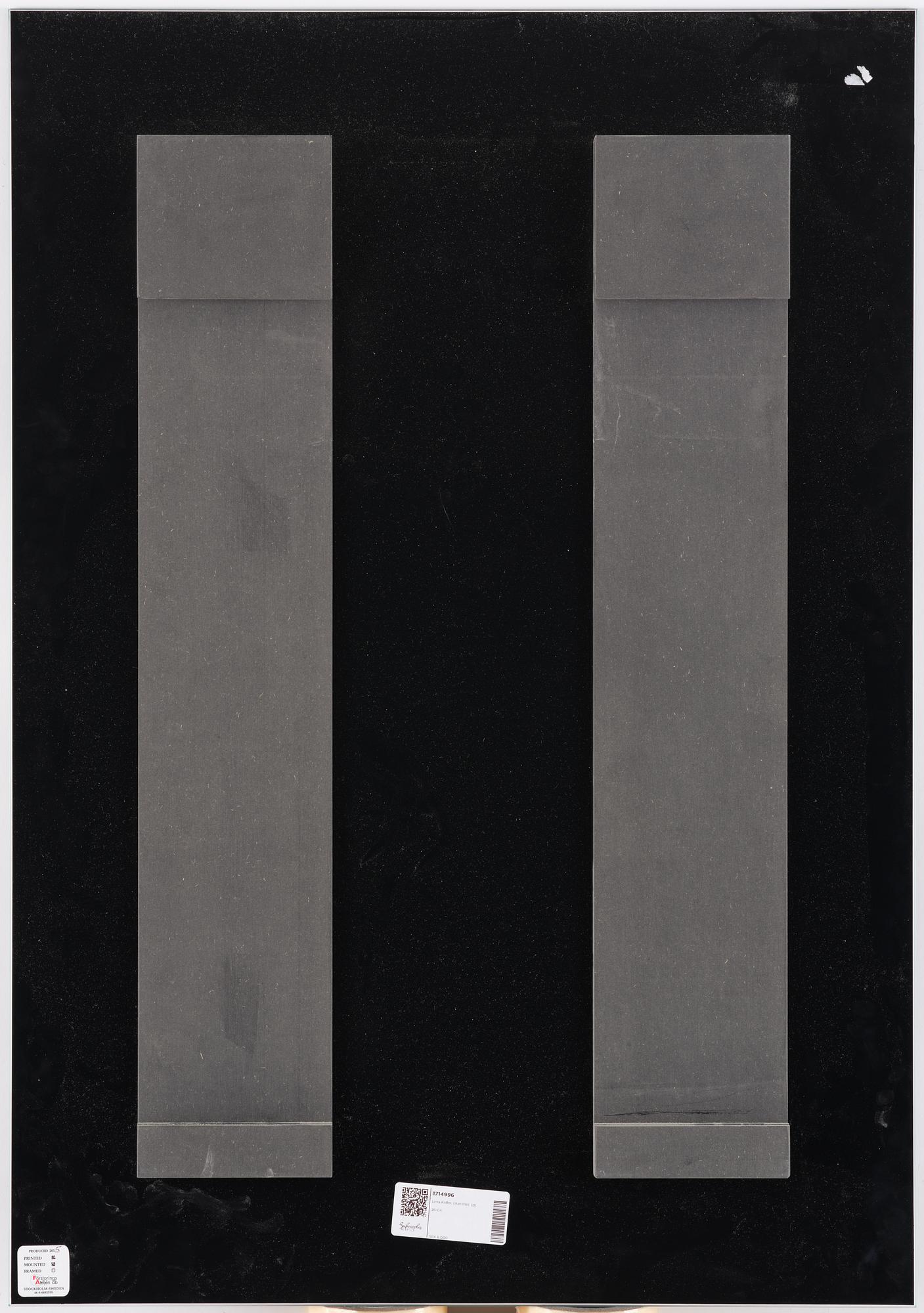 Lena Koller, "Tång", 2013.