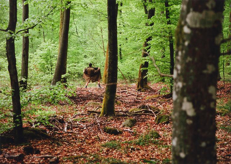 Sirous Namazi, "Flasher", 1997.