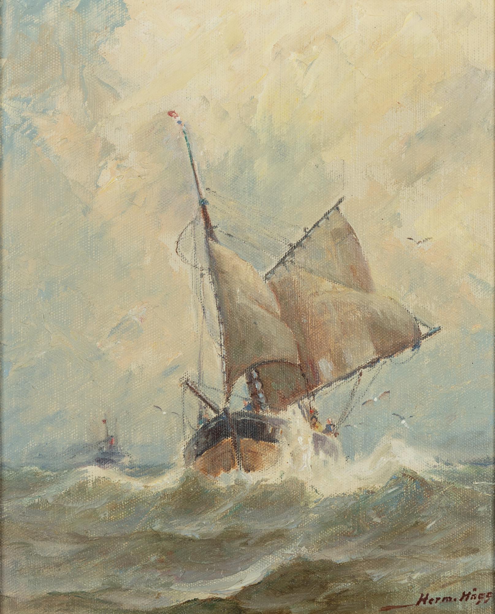 Herman Hägg, Fishing Schooner.