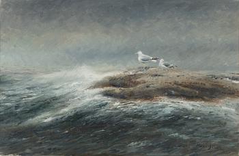 Mosse Stoopendaal, Seagulls on a Skerry.