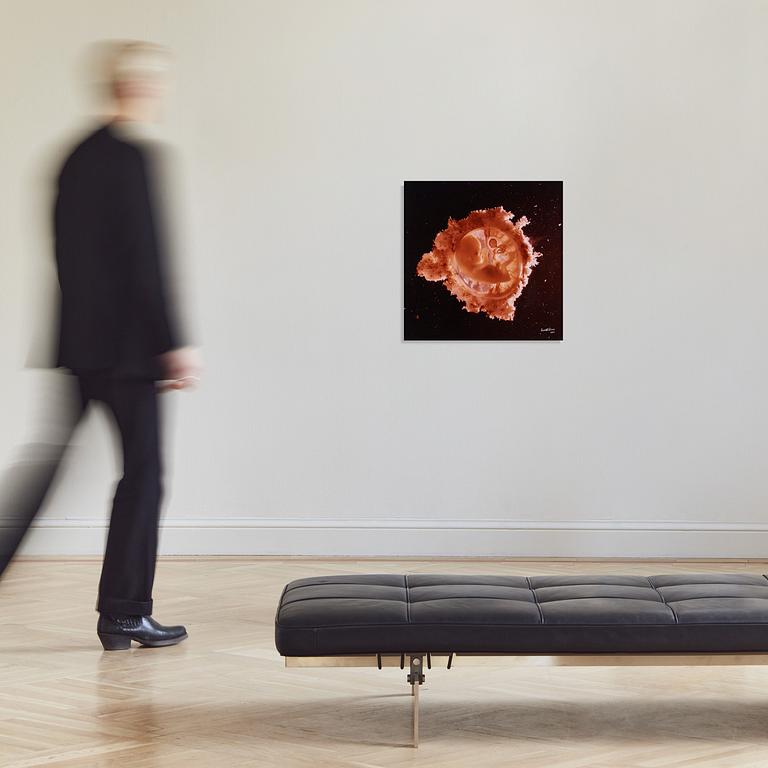 Lennart Nilsson, "Rymdfararen", 1965.